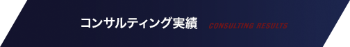 コンサルティング実績